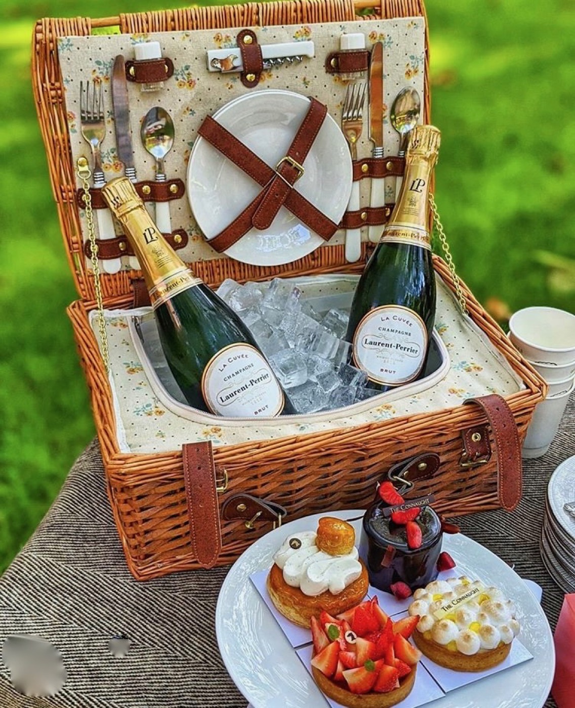 Champagne, on the grass
