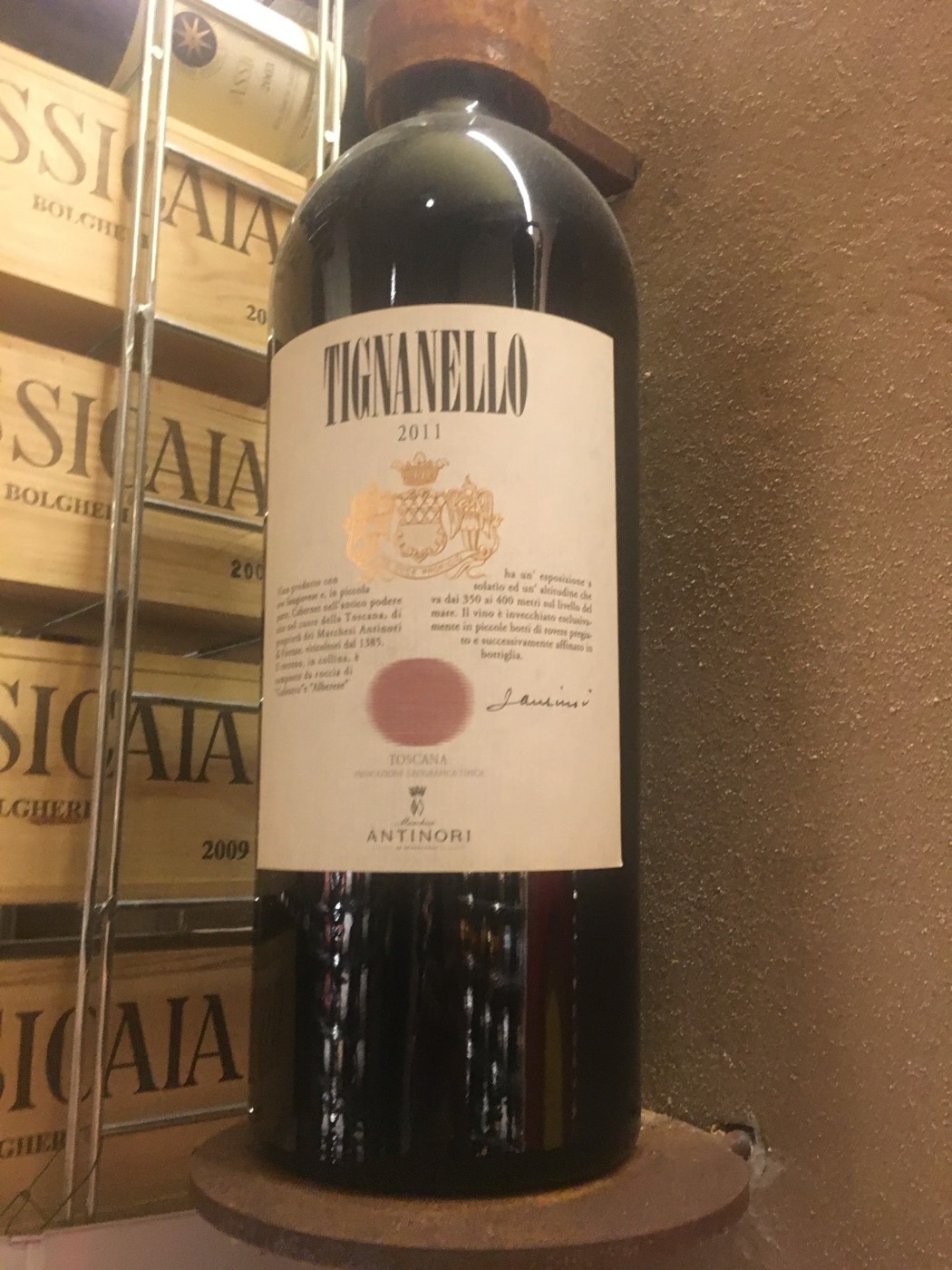 Tignanello, resting