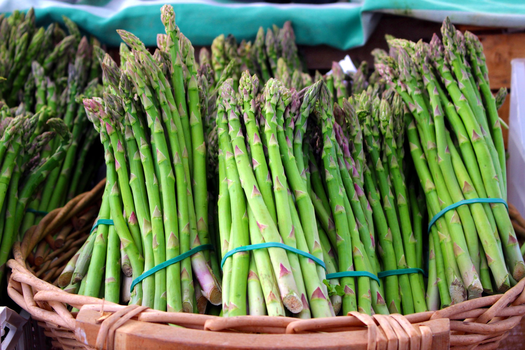 Bundles of fresh asparagus