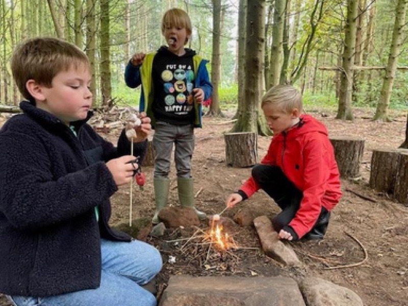 Children cooking over a campfire in the woods