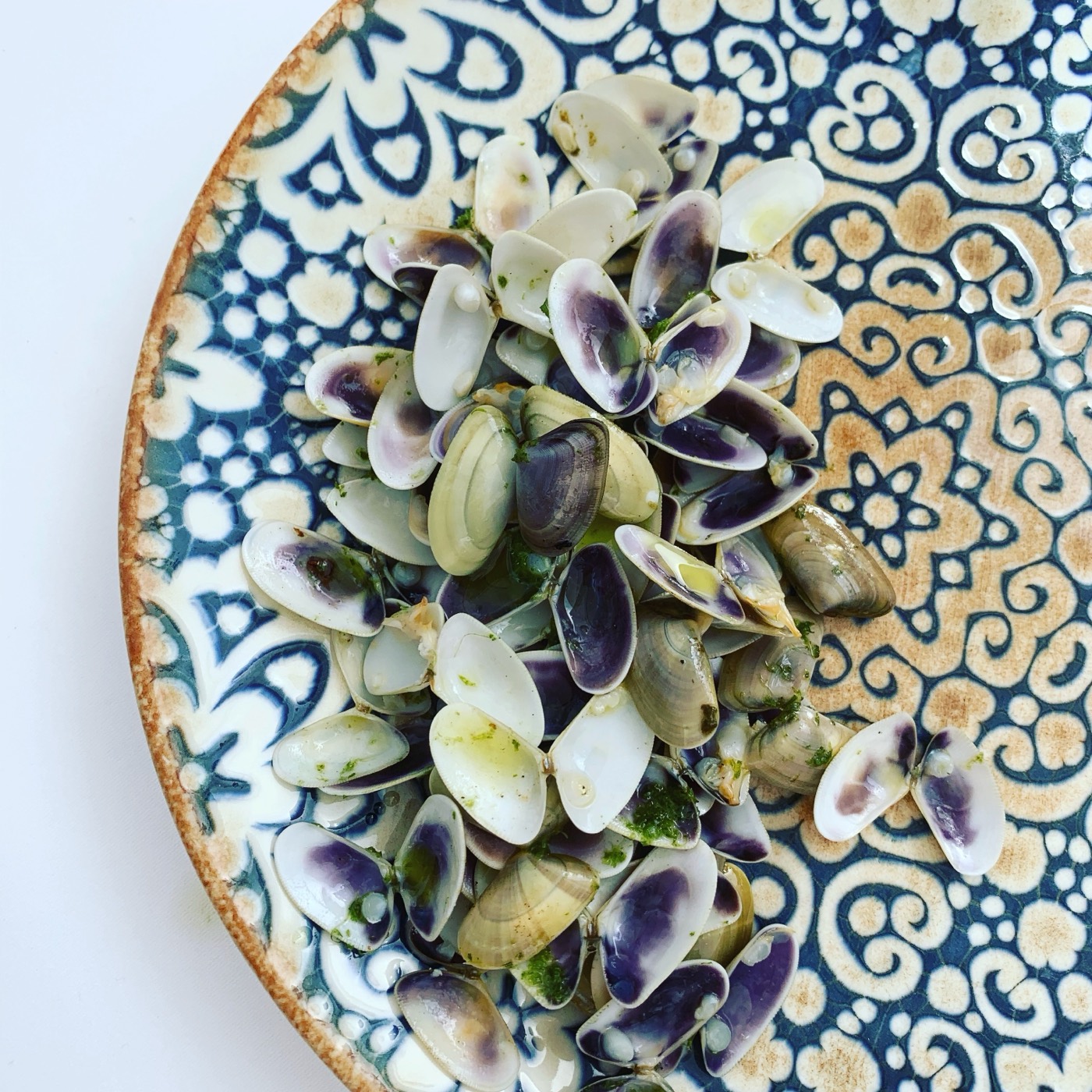 Clams, on pattern