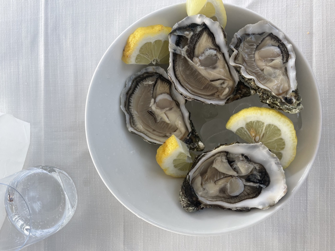 Oysters, lemon, done