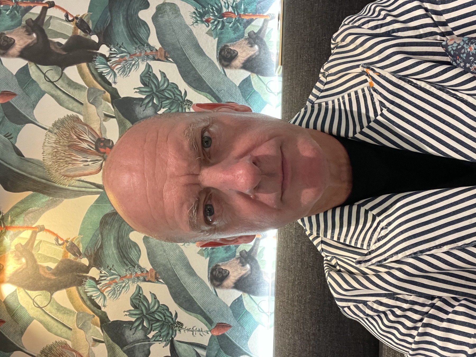 David Peevers, striped blazer, monkey wallpaper